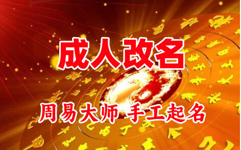 汝南成人改名-找大师一对一改名先分析后改名